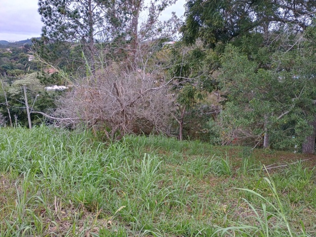 CONDOMINIO ALPES,GUARAREMA,São Paulo,Brasil 08900000,Terreno,1784