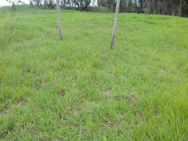 ALAMBIQUE DO DÉCIO,GUARAREMA,São Paulo,Brasil 08900000,Terreno,1789