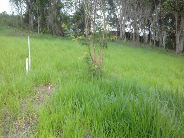 ALAMBIQUE DO DÉCIO,GUARAREMA,São Paulo,Brasil 08900000,Terreno,1789