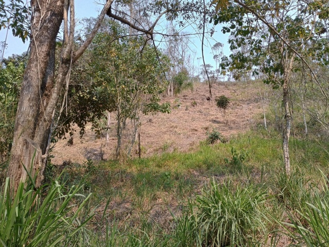 FREGUESIA DA ESCADA,GUARAREMA,São Paulo,Brasil 08900000,Terreno,1796