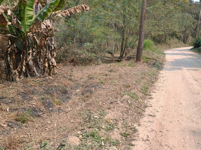 FREGUESIA DA ESCADA,GUARAREMA,São Paulo,Brasil 08900000,Terreno,1796