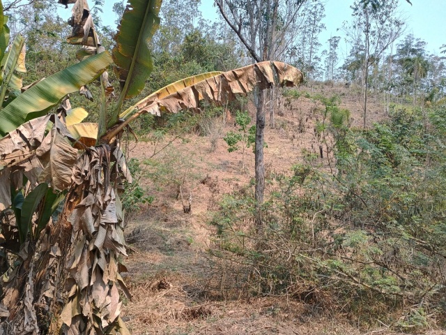 FREGUESIA DA ESCADA,GUARAREMA,São Paulo,Brasil 08900000,Terreno,1796