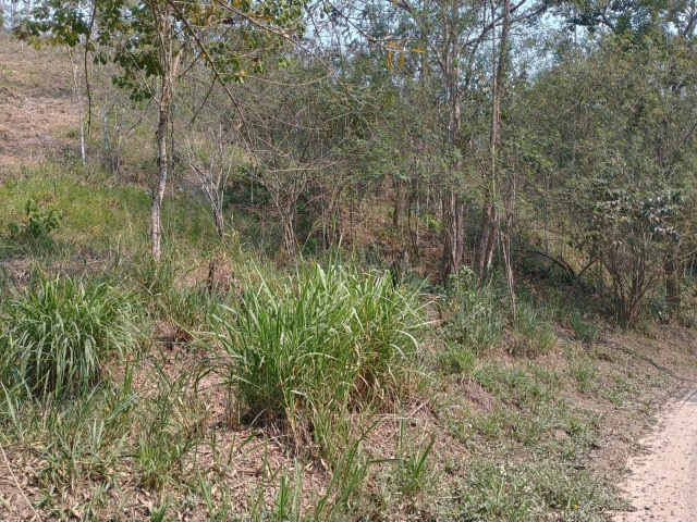 FREGUESIA DA ESCADA,GUARAREMA,São Paulo,Brasil 08900000,Terreno,1796